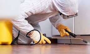 Best Real Estate Pest Inspections  in Moncks Corner, SC